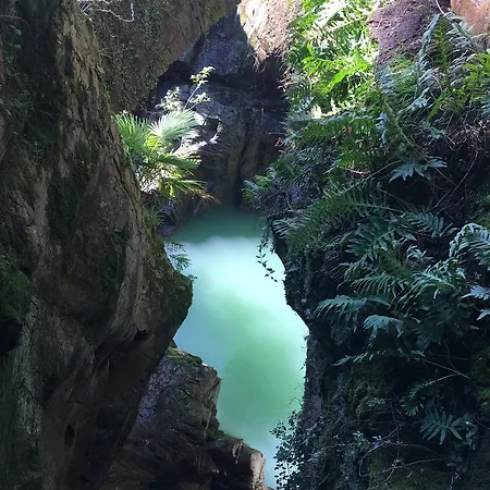 Riflessi Di Dorio